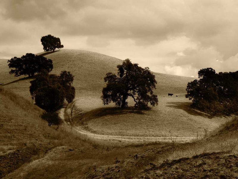 sudoku naked pairs screenshot 5