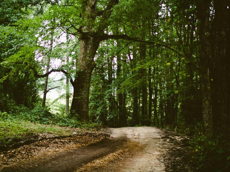 sudoku naked pairs screenshot 1